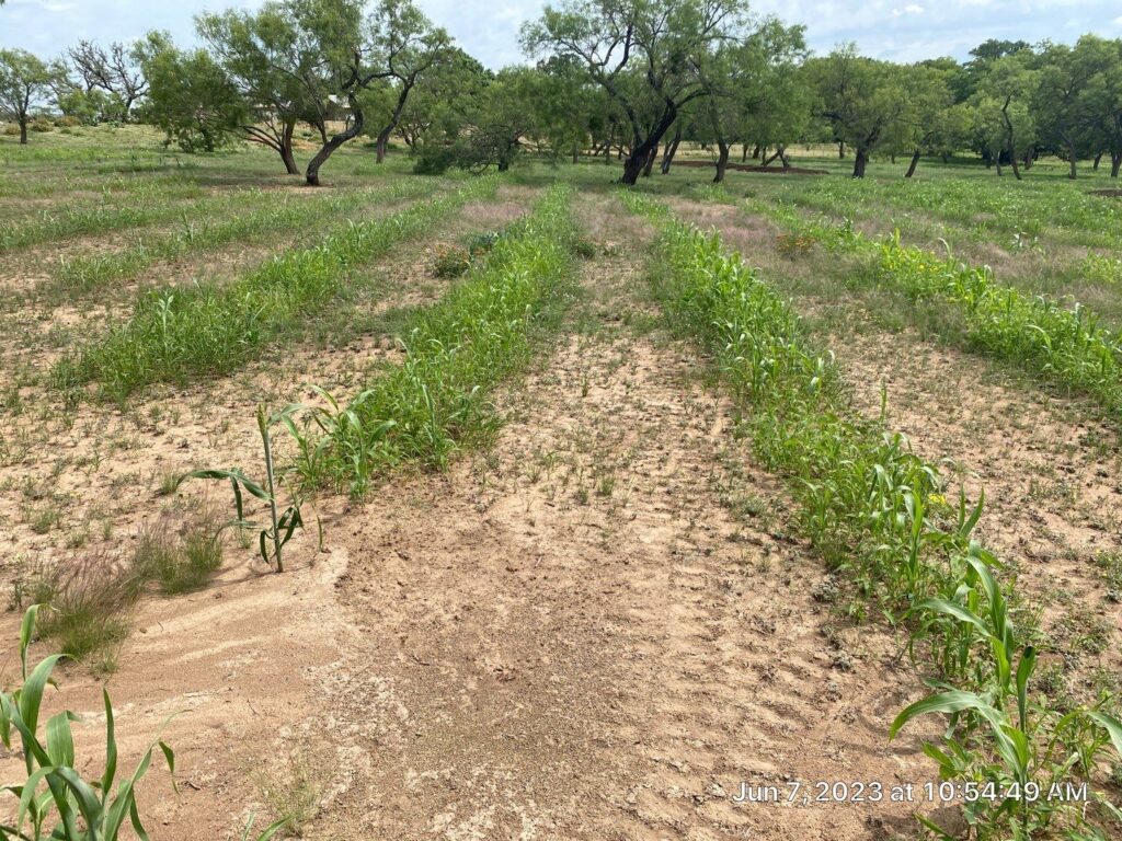 Is Keyline Geometry and Keyline Plowing A Powerful Land Regeneration ...