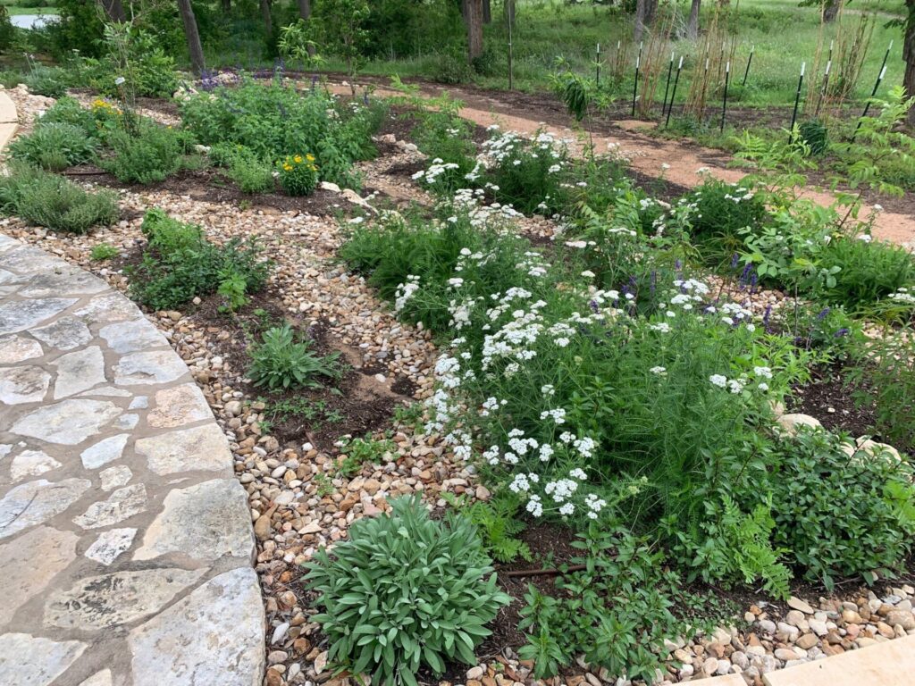 A Medicine & Food Forest designed & installed by Symbiosis in Bastrop, Texas